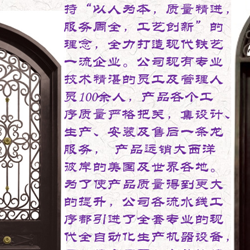 高端别墅定制门,双/单开入户门,玻璃门,厦门精达利门业